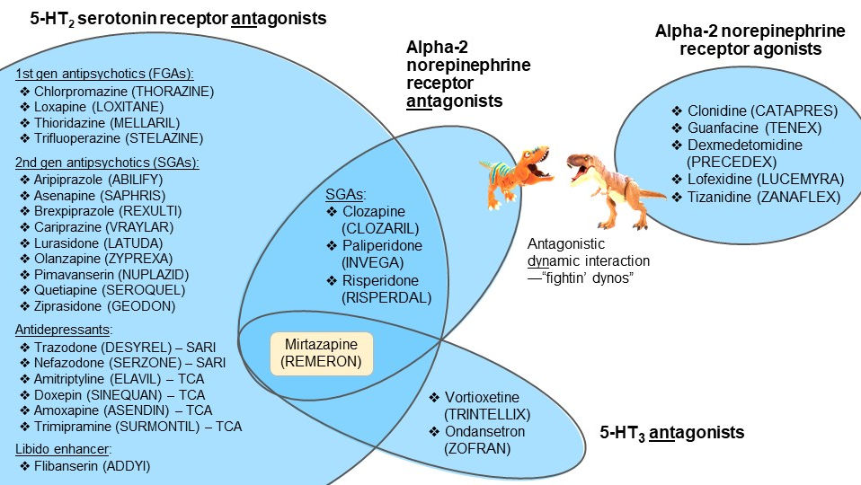 5-HT2 serotonin receptor antagonists 5-HT3 antagonists by Dr Jason Cafer MD venn diagram