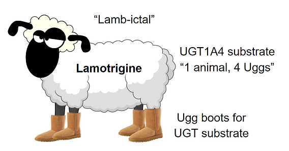 glutathione and lamictal Lamotrigine (Lamictal) + Valproate (Depakote)