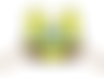 5-HT1A receptors and the ballicules that bind them