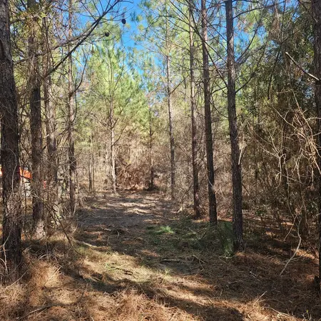 Final results of brush cleanup on a private property in Glenwood, Georgia.