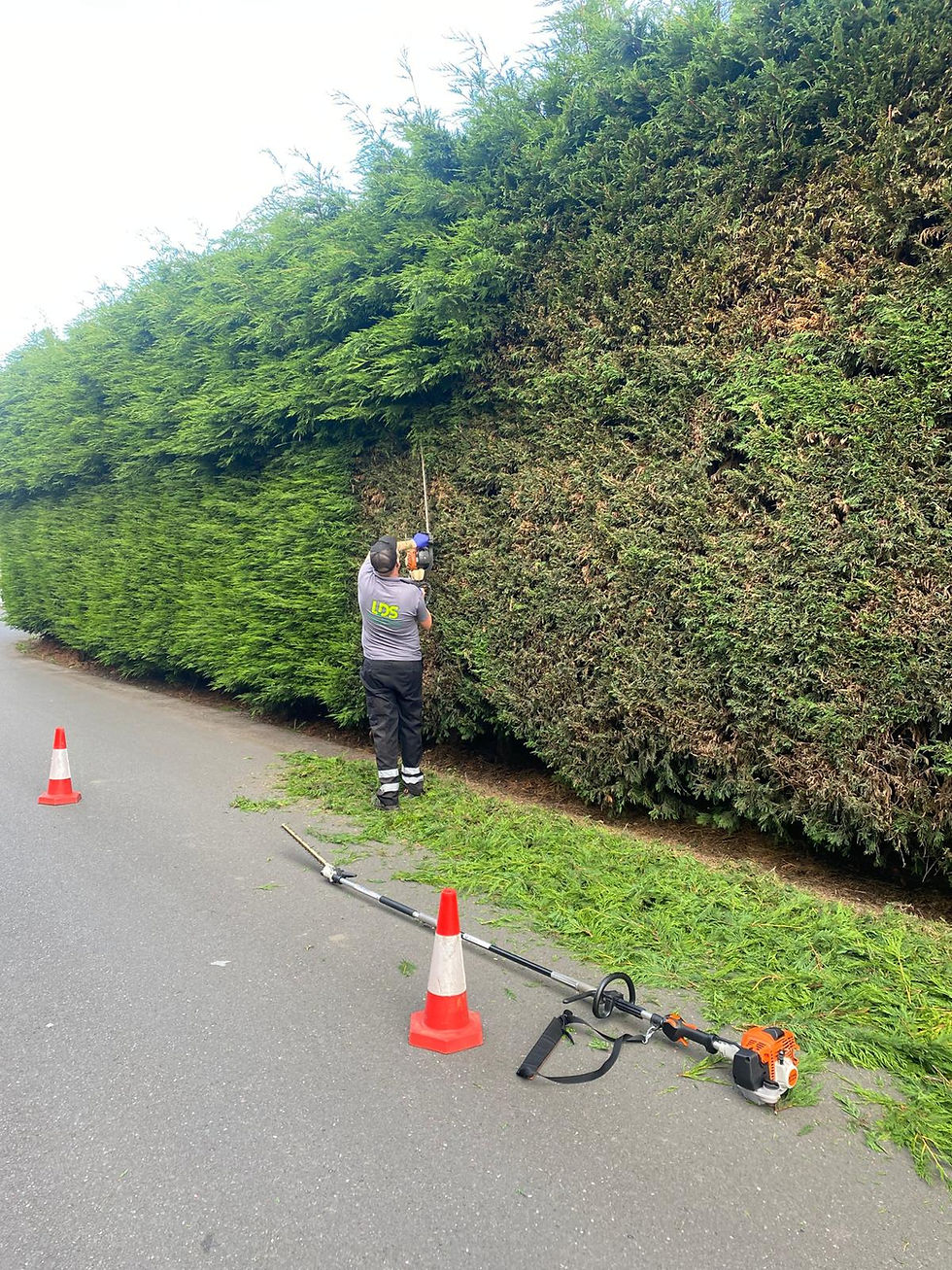 PHOTO-2025-02-20-14-28-09 2.jpg