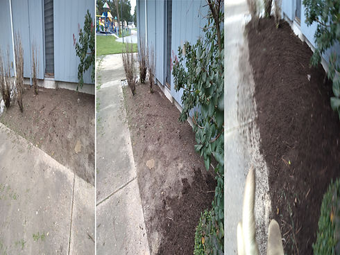 MULCH.jpg