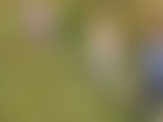 Every happy memory created for a child is another treasure of a lifetime!