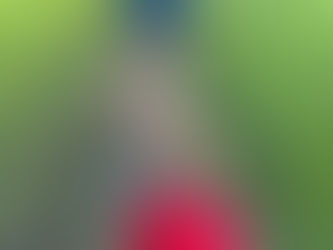 Rock Park Adventures