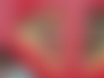 Pirate ship 🏴☠️