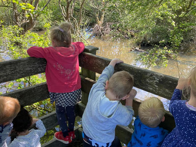 Braunton walk to feed the ducks!
