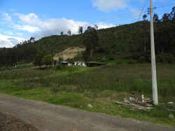 DSCN2600