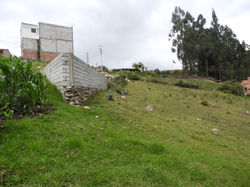 DSCN2613