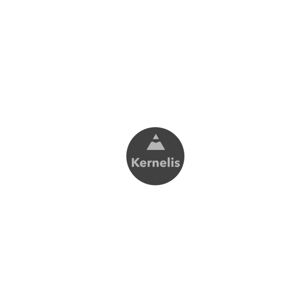 GIF-remote-audit-2.gif