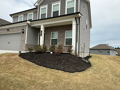 Kaus Cuts Mulch Bed refresh