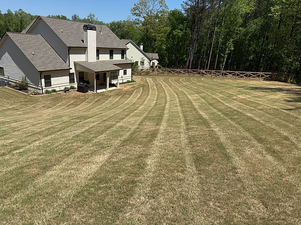 Kauscutsmonroebackyardstripes.heic