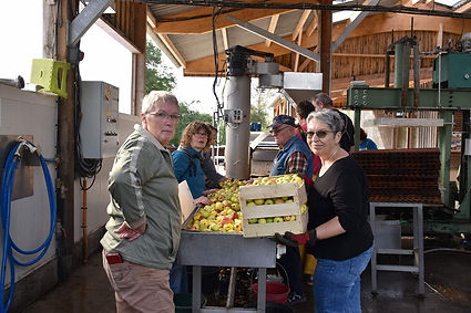_copie-0_Copie de DSC_0202.jpg