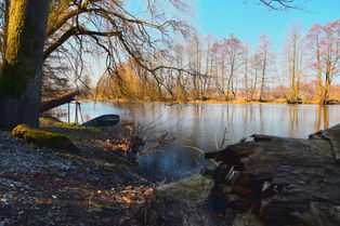 Alter Kahn im Wasser