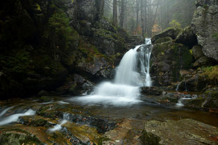 DSC_5797.JPG
