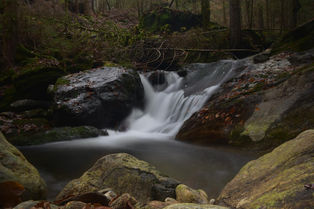 DSC_6497.JPG