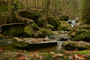 DSC_6501.JPG