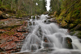 DSC_5885.JPG