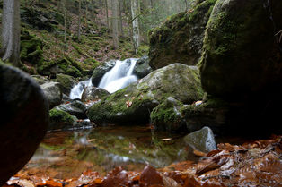 DSC_6489.JPG