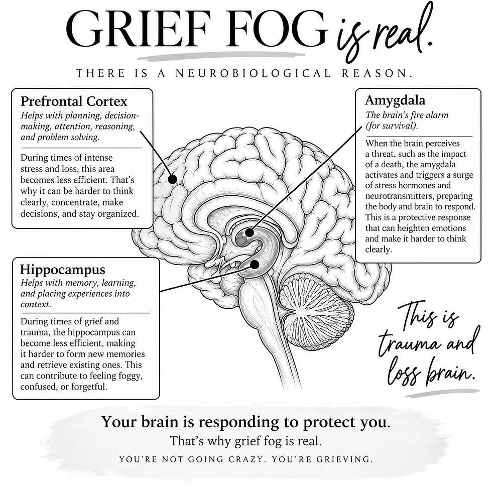 Grief Fog Is Real: Why Grief Makes It So Hard to Think