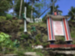image1.jpeg