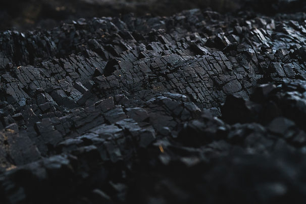 dexter-fernandes-AByHM2Q7wIk-unsplash.jpg