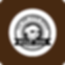 Bitmap Copy 34