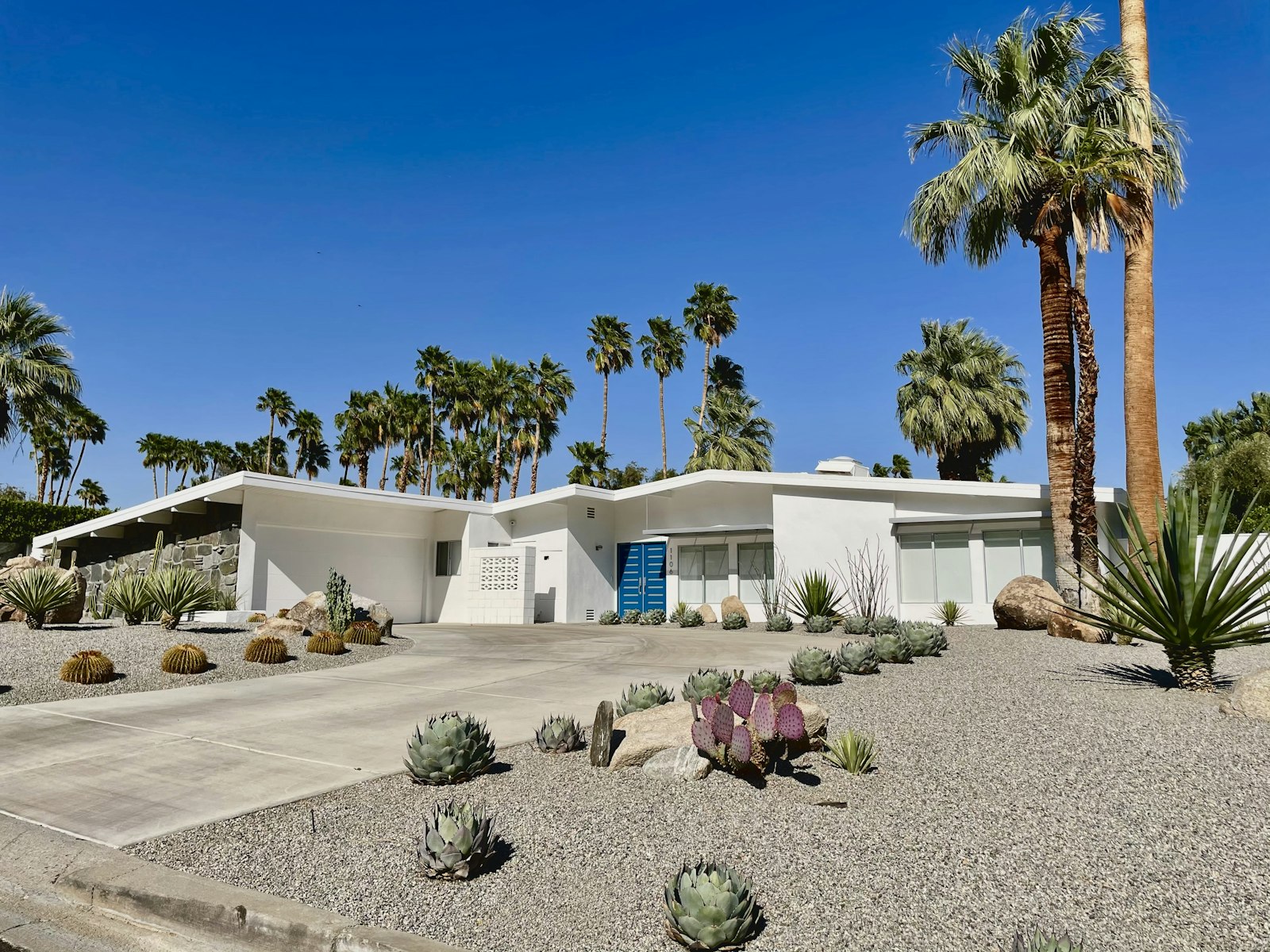 Desert modern home with xeriscape landscaping and palms — Las Vegas valley style