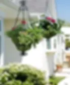 Flower and Storage Boxes