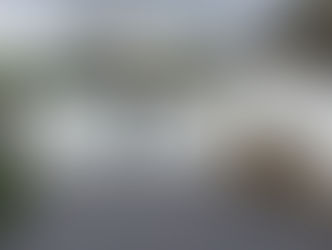 Swing Gate Options in Hawthorn East – A Blend of Strength and Style