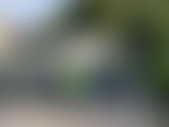 Privacy Fence Solutions in Eltham Backyards