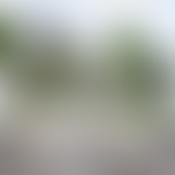 How Does Swing Gate Motors Work