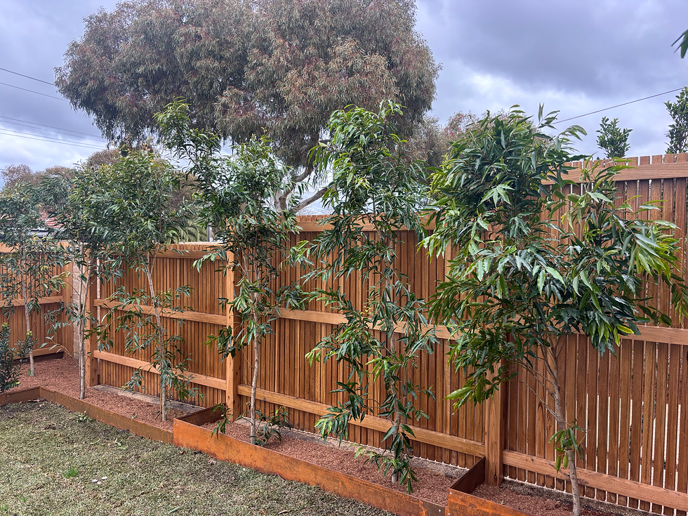 Leave Enough Space for Plants to Mature