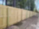 Timber Paling Fence