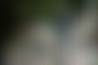 Ornamental Steel vs. Ornamental Aluminum Fencing: A Detailed Comparison