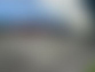 Front Fence Styling Ideas for Rosanna Renovations