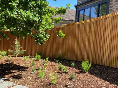 Privacy Fence Solutions in Burwood Backyards