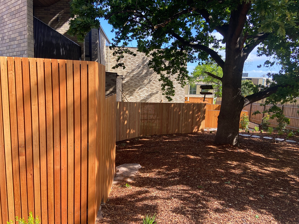 Assessing Your Site Before Designing a Front Fence Around Trees