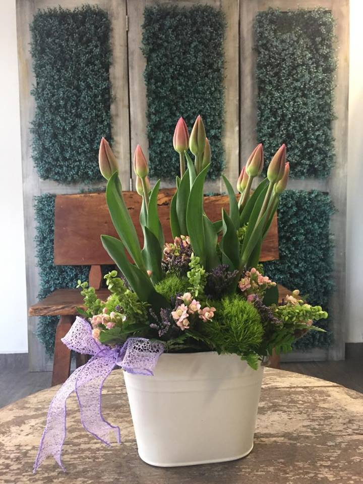 DECENA DE TULIPANES