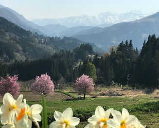 A Natural Environment That Deepens Your Breath
