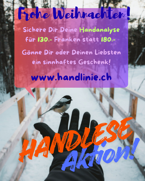 Bildschirmfoto 2025-12-15 um 12.44.14.png