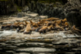 AdobeStock_170774311.jpeg