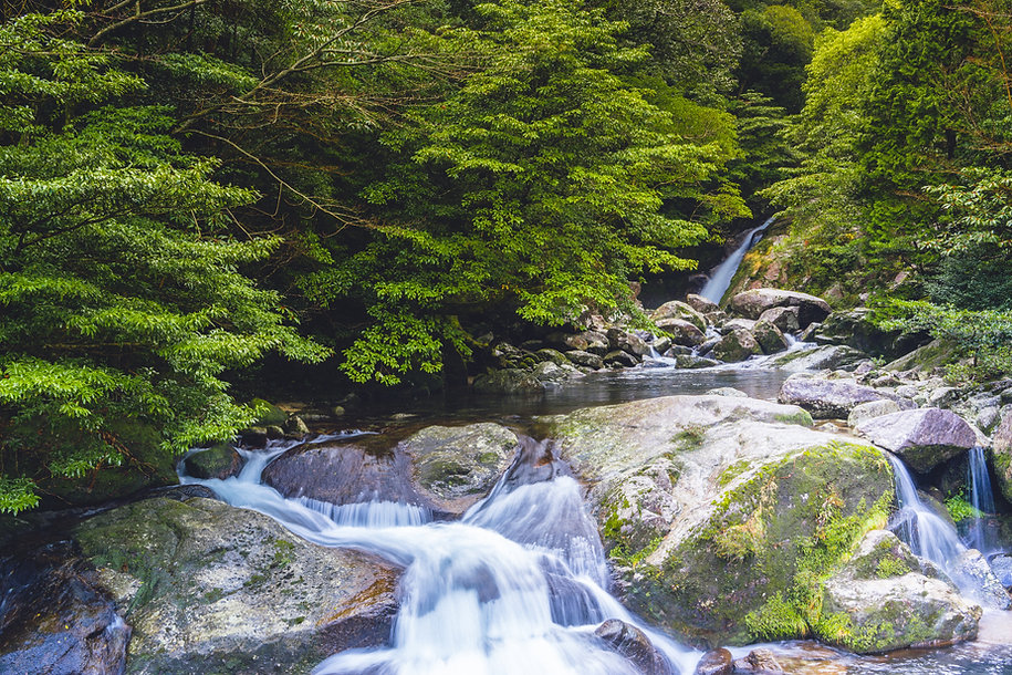 AdobeStock_Yakushima waterfall.jpeg