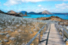 AdobeStock_80904068.jpeg