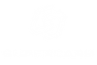 1.1_blanco.png
