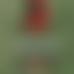 Поздравление