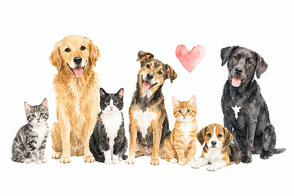 dogcats.png