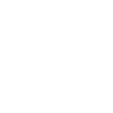 logo but white.png
