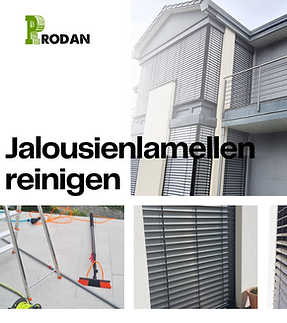 Home For Sale (7).png