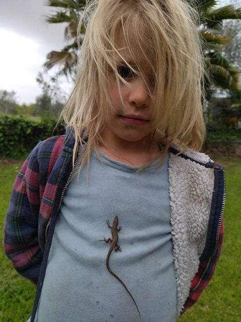 A picture of Limor's son with a lizard on his shirt