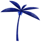 Palm Tree